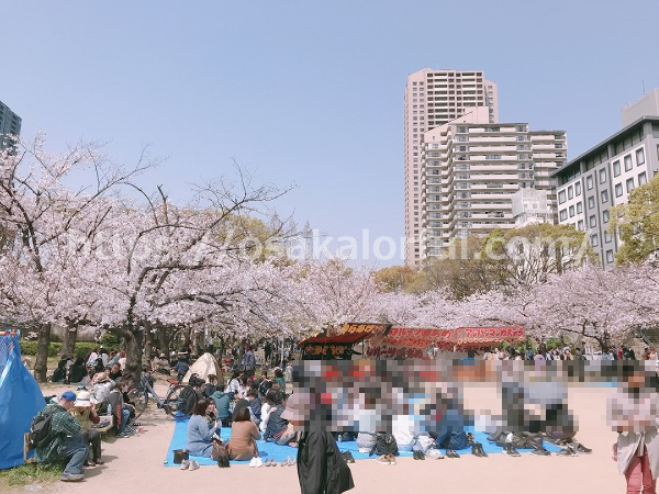 桜之宮公園の花見
