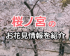 【2019年】桜ノ宮は大阪でおすすめのお花見スポット！コンビニ・トイレ・最寄り駅の情報