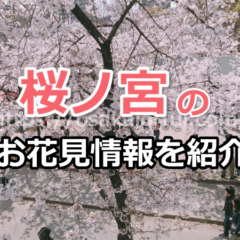 【2019年】桜ノ宮は大阪でおすすめのお花見スポット！コンビニ・トイレ・最寄り駅の情報