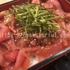 【梅田】海鮮丼をランチに安く食べるならとろ家がおすすめ！